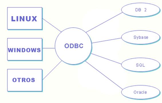 Conectores de datos ODBC y JDBC