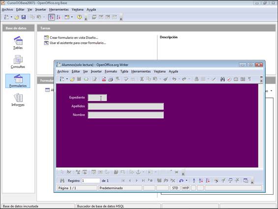 Aspecto de formulario terminado