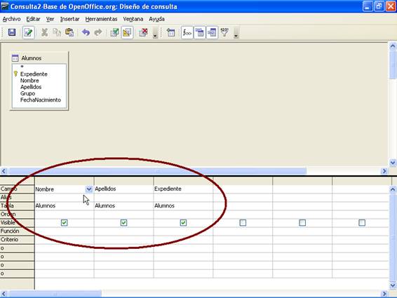 Campos Nombre, Apellido y Expediente añadidos a la consulta