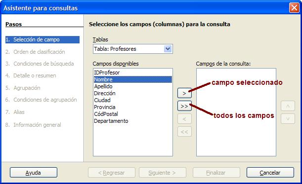 Primer paso del asistente para consultas