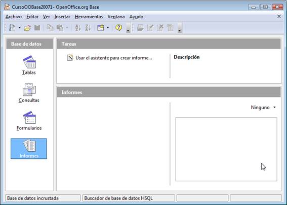 Opción Asistente para crear Informes