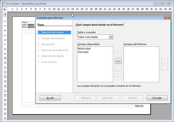 Seleccionar los campos de informe