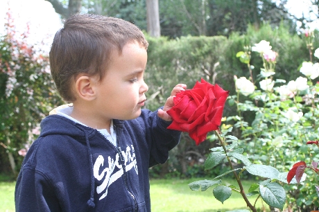 Desde la infancia, los hombres sienten la presión para identificar su masculinidad con el ejercicio del poder, dejando de lado valores como la empatía, la emoción o el cuidado.