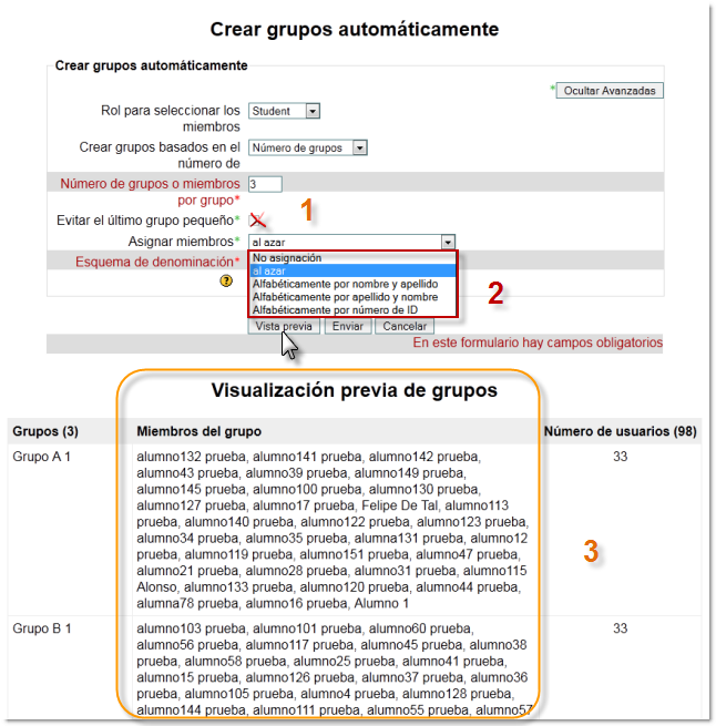 Grupos automáticos. Opciones avanzadas descripción y vista previa