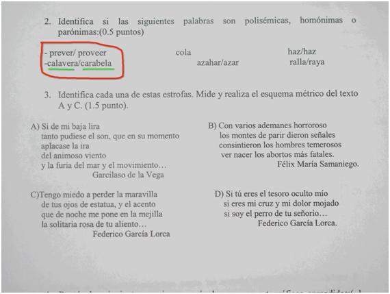 Captura de pantalla con lector de documentos 