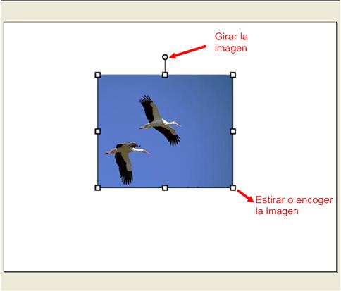 imagen insertada en una presentación del software imagenes