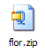 flor.zip