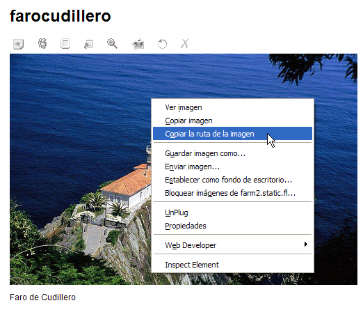 Copiar la ruta de la imagen
