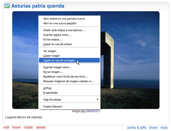 Copiar la tura de la imagen ...